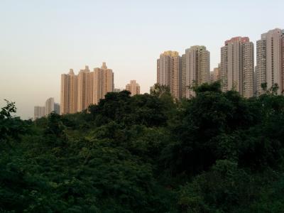 摩天大楼, 雨林, 香港, 城市, 现代, 公园, 城市公园
