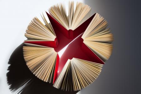 书籍, 页面, 扩大, 星级, 红色, 弗洛伊德, 学生版