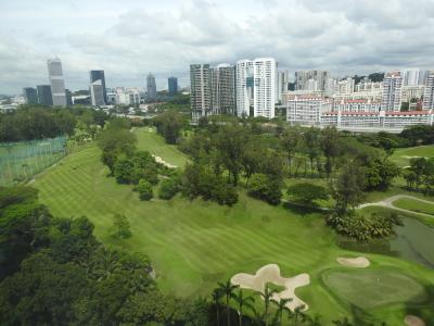 新加坡, 新加坡高尔夫球场, 高尔夫, 高尔夫球场, 球道, 绿色, 城市景观