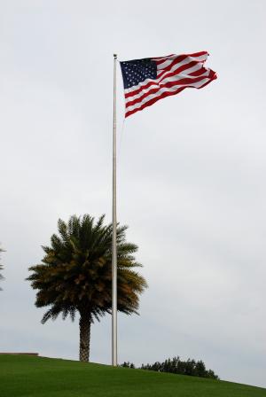 棕榈树, 美国国旗, 国旗, 棕榈, 蓝色, 天空, 树
