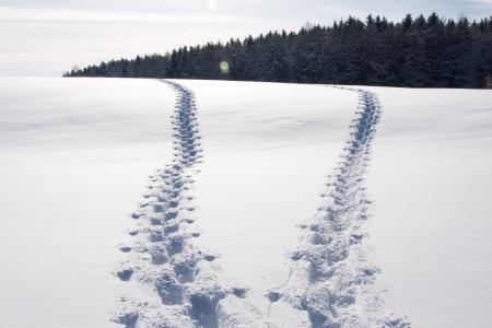 跟踪, 足迹, 棍棒, 白雪皑皑, 雪车道, 冬天, 景观