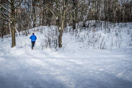 慢跑, 冬天, 雪, 树, 自然