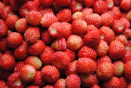 野草莓, 浆果, 森林, 健康, 背景, 甜, 令人垂涎