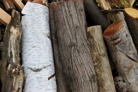 木材, 部落, 树皮, 存根, 棕色, 木材-材料, 树