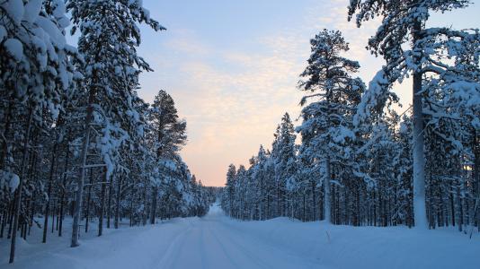 积雪的路上, 冬天, 林道, 感冒, 北极, 弗罗斯特, 北极圈内