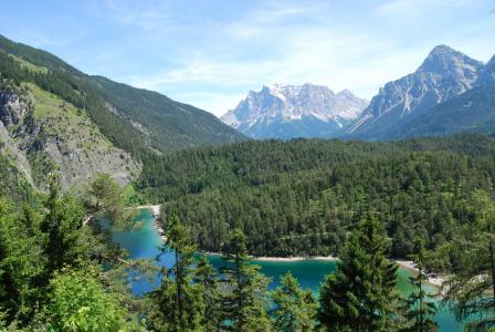 阿尔卑斯山, 景观, 山, 河, 视图, 山之旅, 森林