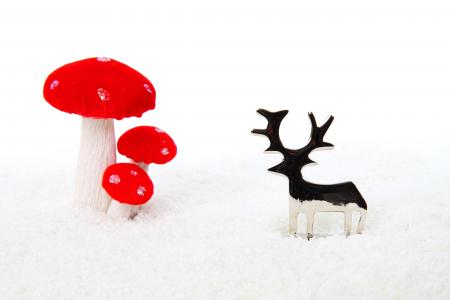 金属, 蘑菇, 庆祝活动, 圣诞节, 装饰, 假日, 分离