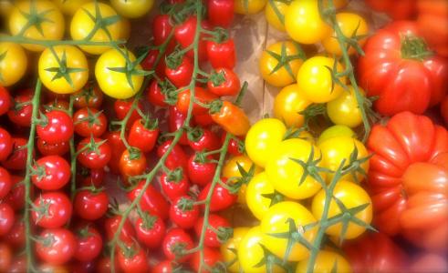 西红柿, 辣椒, 蔬菜, 食品, 红色, 黄色