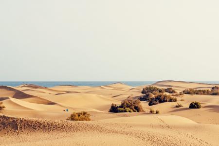 沙丘, 假日, 沙子, 马斯帕洛马斯, 加那利群岛, 大加那利岛, 热