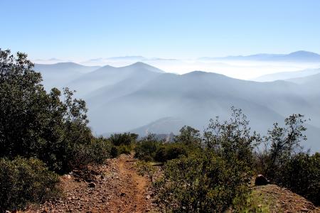 智利, 小山, talagante, 雾