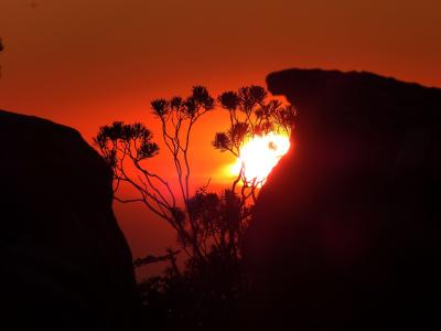 南非, 开普敦, 桌山, 岩石, 日落, 太阳, 余辉