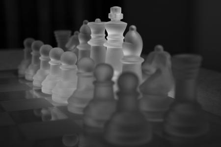 象棋, 象棋比赛, 棋子, 国王, 女士, 赛跑者, 戏剧