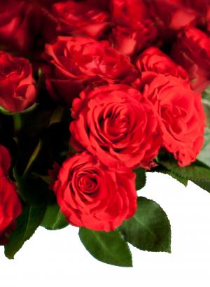 玫瑰, 花束, 花, 祝贺, 玫瑰-花, 红色, 自然