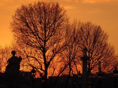 杜乐丽, 巴黎, abendstimmung, 橙色, 日落, 冬天, 树木