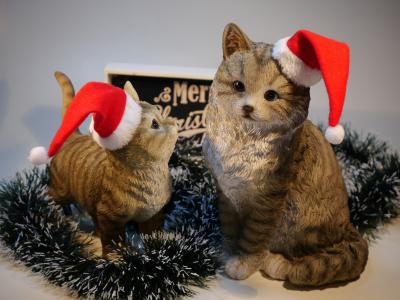 猫, 圣诞节, 尼古拉斯