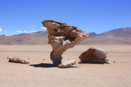 玻利维亚, 岩层, 沙漠, 石树