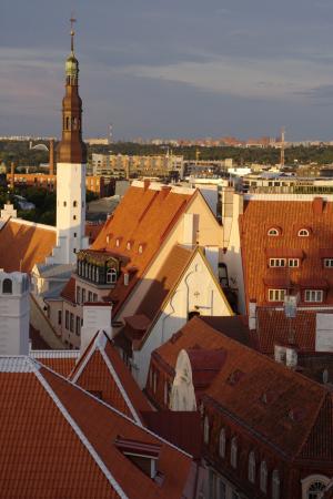 爱沙尼亚, 塔林, 旧城, 建筑, 屋顶, 城市景观, 欧洲
