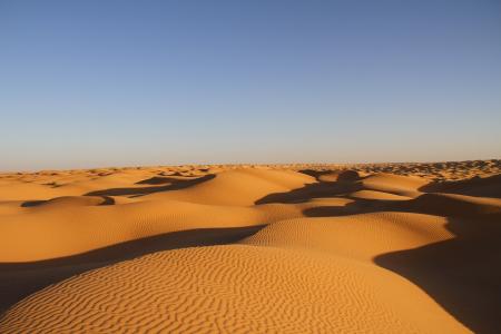 沙漠, 突尼斯, 自然, 景观, 沙子, 沙丘, 干旱气候
