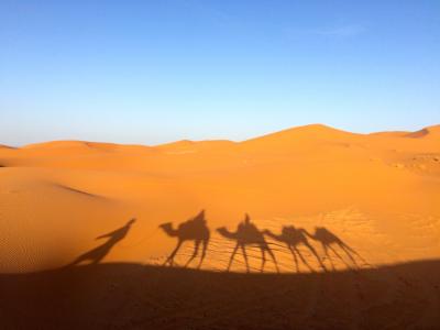 撒哈拉沙漠, 沙子, 自然, 沙漠, 干, 非洲, 旅行