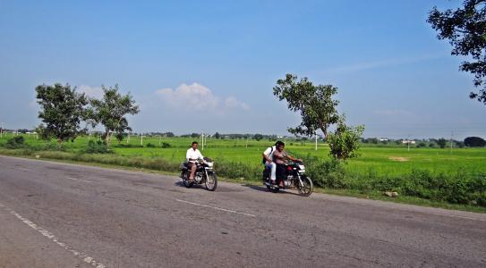 公路, 稻田, 自行车骑手, gangavati, 卡纳塔克, 印度
