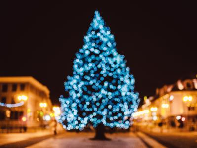 树, 蓝色, 字符串, 灯, 晚上, 时间, 圣诞节