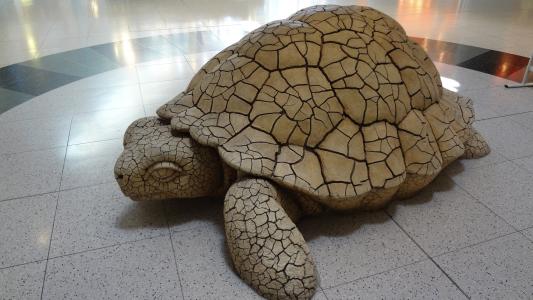海龟, 拉斯维加斯, 机场, 雕塑, 地板
