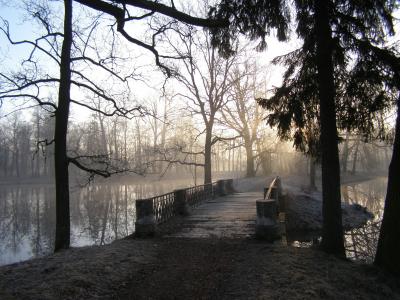 公园, 池塘, 春天, 早上, 桥梁, 雾