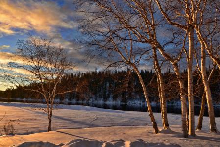 冬季景观, 雪, 桦木, 结冰的湖面, 自然, 暮光之城, 日落