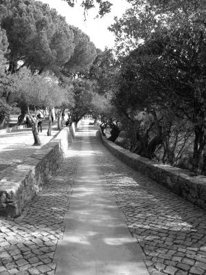 葡萄牙, 黑色和白色, 花园, 路径, 石雕, 花园步行, 植物