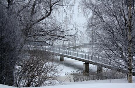 芬兰, 桥梁, 建筑, 河, 水, 冻结, 冰冷