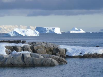 冰山, 南极洲, 南大洋, 浮冰, 感冒
