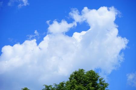 云彩, 天空, 云的形成, 蓝色, 白色, 积云, 积云