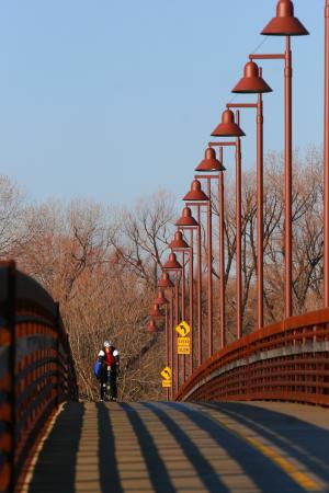 自行车车手, 骑自行车的人, 骑自行车的人, 自行车, 周期, 桥梁, 灯