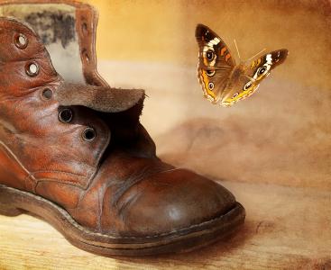 鞋子, 老, 古董, 皮革, 皮鞋, 蝴蝶, 绘画