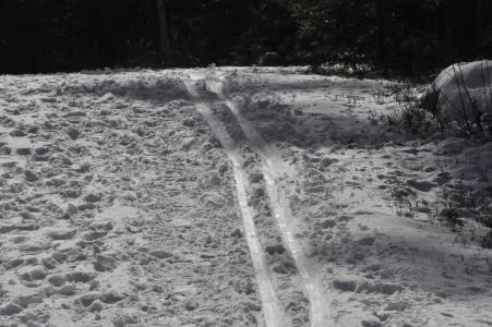 跟踪, 冬天, 滑雪
