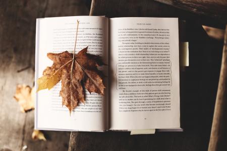 阅读, 自然, 文学, 叶, 秋天, 秋天, 知识