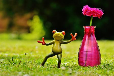 青蛙, 手势, 和平, 花瓶, 花, 有趣, 可爱