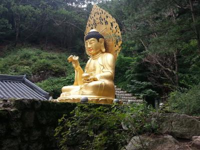 佛, 韩国, 智慧, 亚洲, 雕像, 亚洲, 佛教