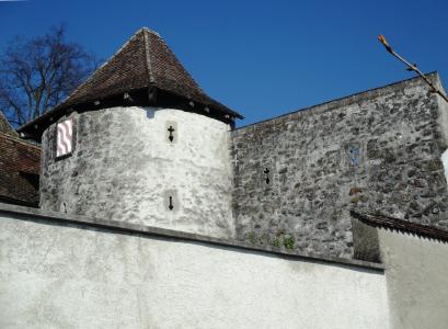 修道院, 卷尾修道院, 塔, 证明, rapperswil jona, 广州圣圣加仑, 瑞士