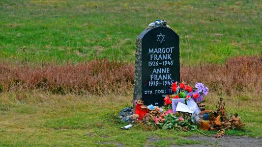 墓碑, 安妮. 弗兰克, 纪念, 贝尔森山脉, 大屠杀, 历史, 大屠杀纪念馆