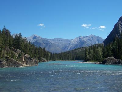 河, 加拿大, 蓝色, 蓝天旅游, 假日, 树, 绿色