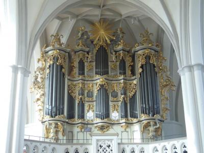 柏林, 教会, 教堂风琴, 器官