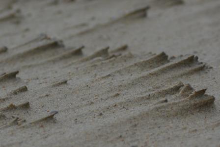 沙子, 海滩, 背景, 背景, 自然, 模式