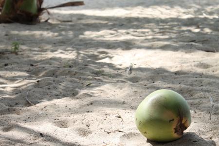 海滩, 椰子, 沙子, 热带, 度假, 椰子树, 阳光明媚