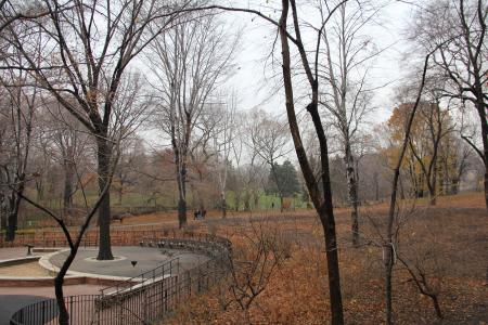 公园, 纽约, 中央, 纽约城, 曼哈顿, 秋天, 秋天