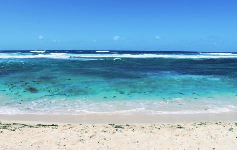 毛里求斯, 海, 印度洋, 海洋, 沙子, 夏季, 在海边