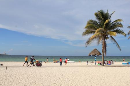 墨西哥, 端口进度, 尤卡坦半岛, 海滩, 棕榈树, 蓝色, 自然