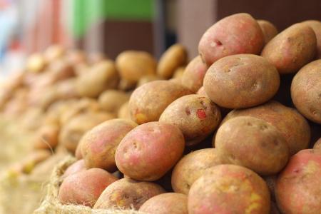 马铃薯, 培养, 水果, 收获, 哥伦比亚, 水果和蔬菜