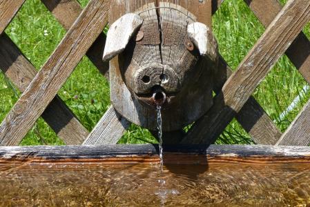 喷泉, 猪头, 水槽, 喝水, 有趣, 木材, 饮水机