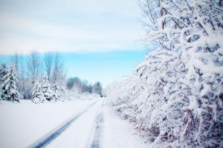 道路, 积雪的路上, 冬天, 雪, 国家, 街道